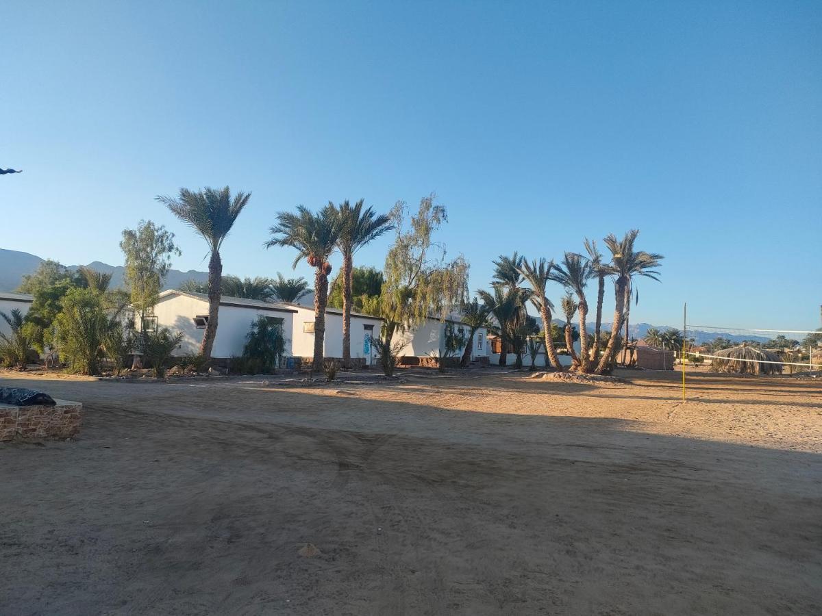 Nuweiba Oasis Hotel Buitenkant foto